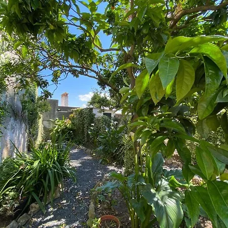Casa Do Toupeiro Guest house *