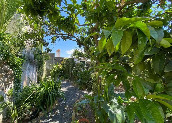 Casa Do Toupeiro Gæstehus 3*